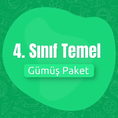 Grade 4 Basic (Silver) Package